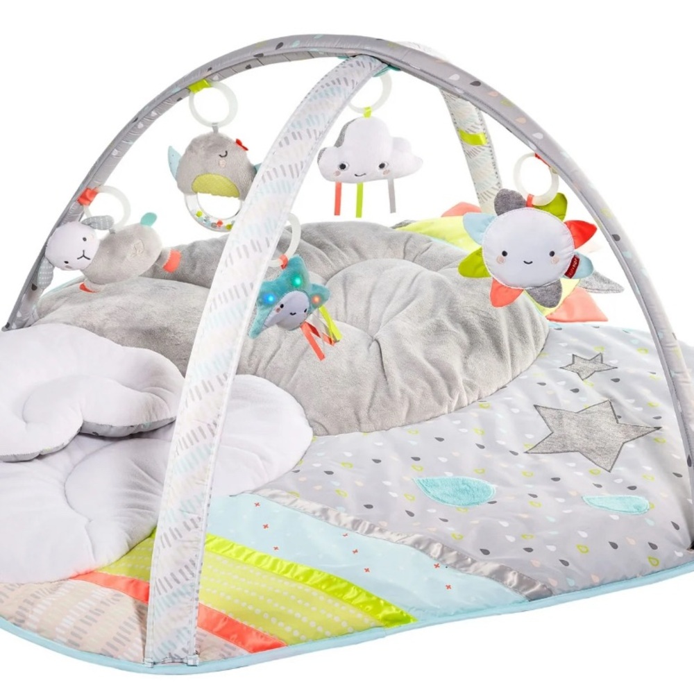 Skip Hop Multi-Color Baby Activity Gym